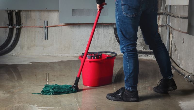 Basement Cleaning Service