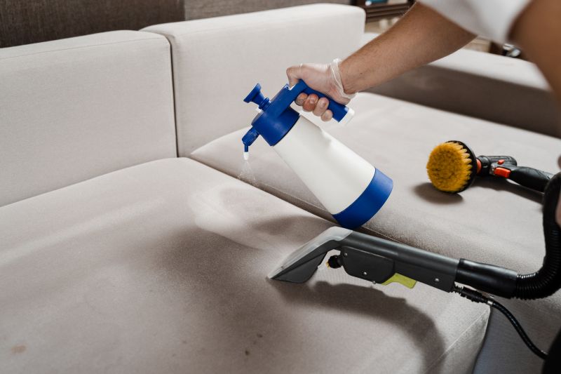 Furniture Cleaning Service