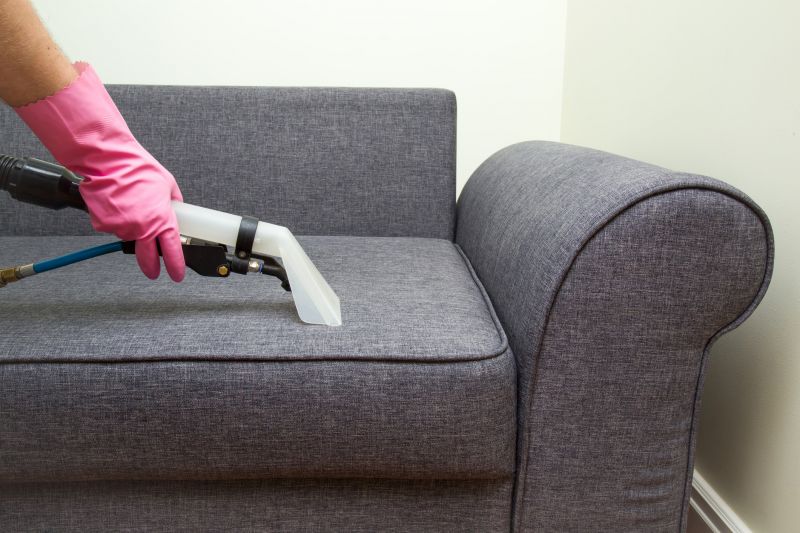 Furniture Cleaning Service detail