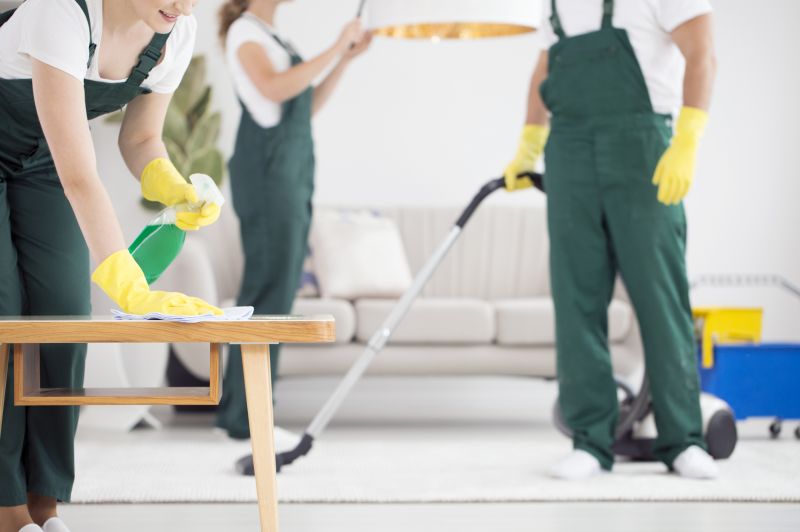 Hardwood Floor Cleaning Service detail