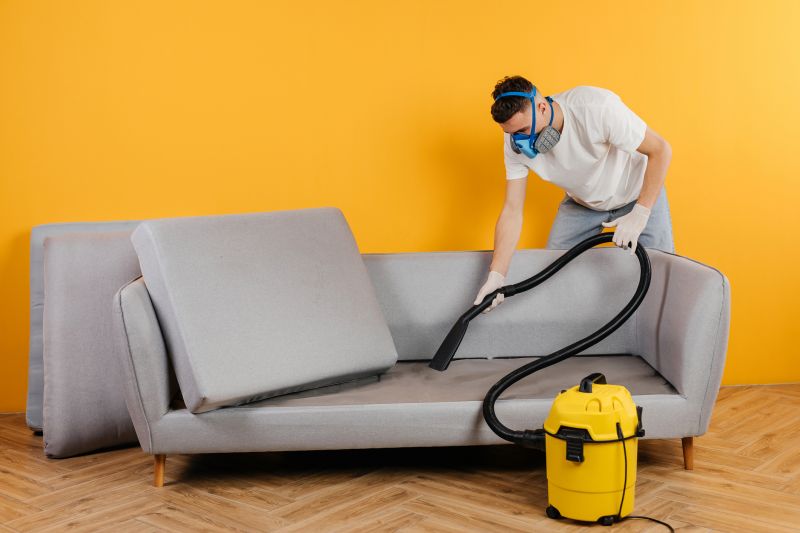 Upholstery Cleaning Service detail