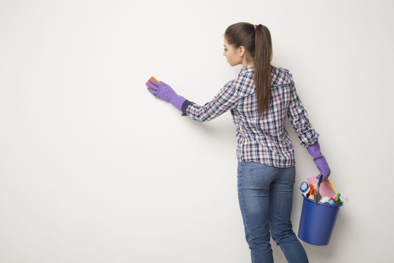 Wall Cleaning Service detail