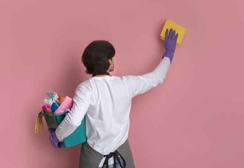 Wall Cleaning Service detail
