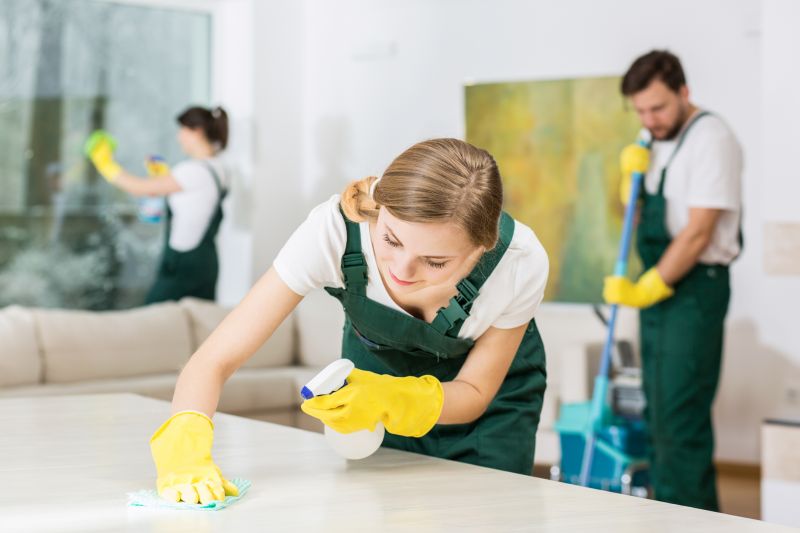 Move In Cleaning Service