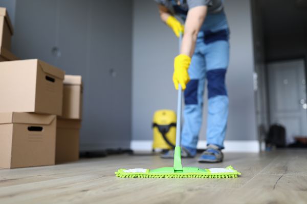Routine Cleaning Service